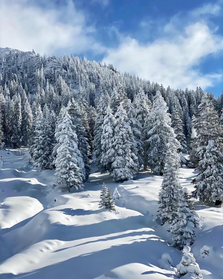 Haus Tirol Ehrwald